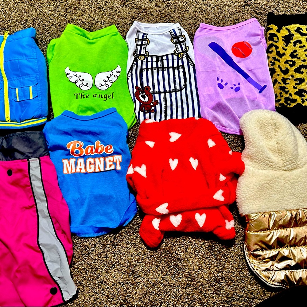 9 small dog outfits - pristine condition